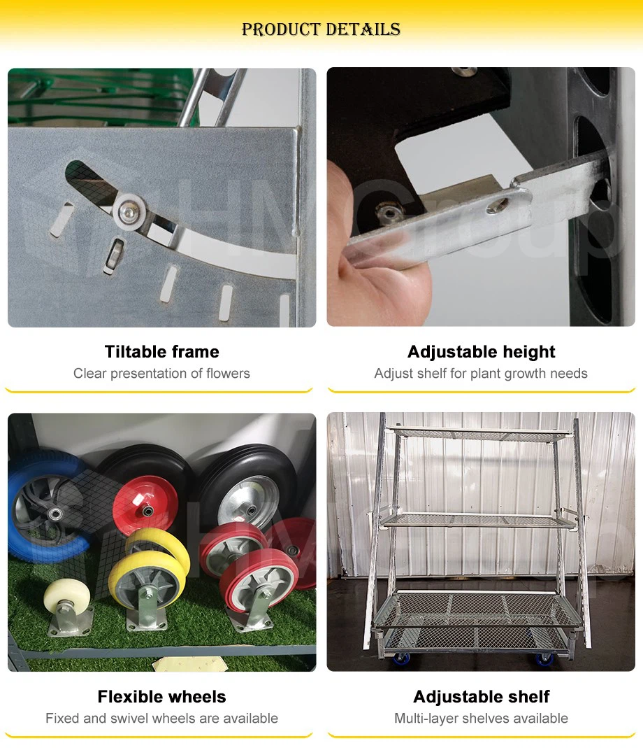 dispaly trolley W2 dispaly trolley W2